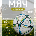 ФУТБОЛЬНЫЙ МЯЧ