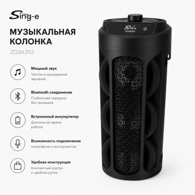 Аудио Калонка Sing-e ZQS4303