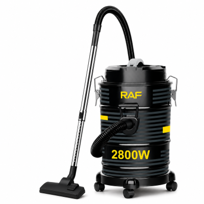 Пылесос RAF