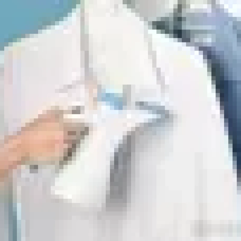 Паравой утук